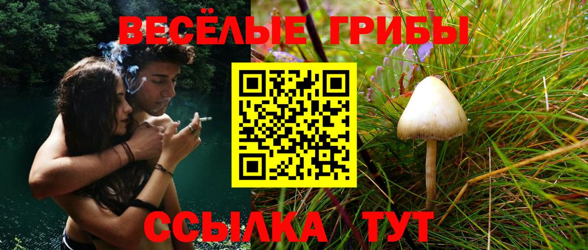 Псилоцибиновые грибы ЛСД Вятские Поляны