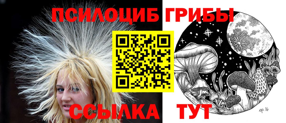 Галлюциногенные грибы ЛСД  Вход с VPN  Вятские Поляны 